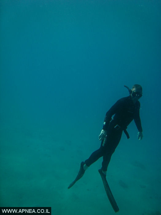    - APNEA -  ,   - 028