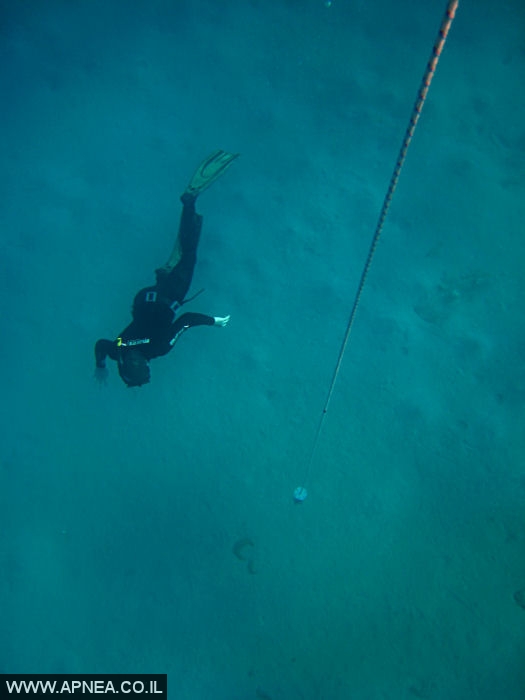    - APNEA -  , , ,   - 006