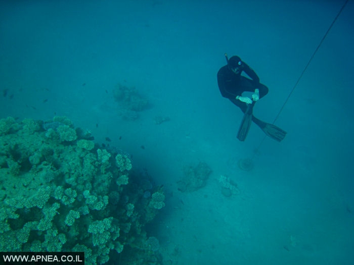    - APNEA -  , , ,   - 009