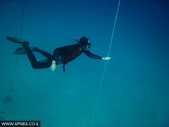    - APNEA -  , , ,   - 010