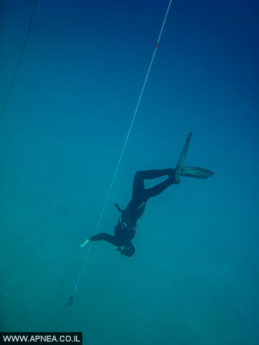    - APNEA -  , , ,   - 031