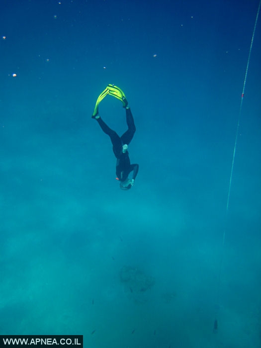    - APNEA -  ,   - 005