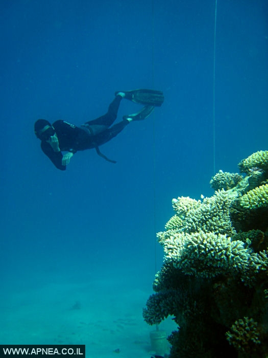    - APNEA -  ,   - 011