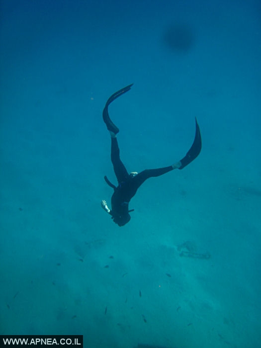    - APNEA -  ,   - 011