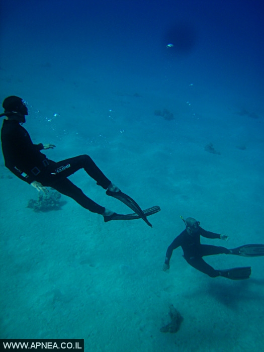    - APNEA -  , , , ,   - 003