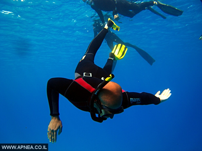    - APNEA -  , , , ,   - 005