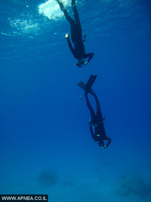    - APNEA -  , , , ,   - 007