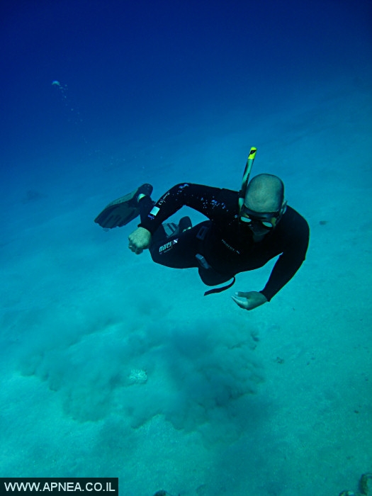    - APNEA -  , , , ,   - 009