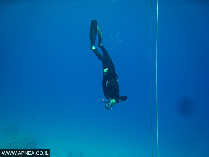    - APNEA -  , , , ,   - 010