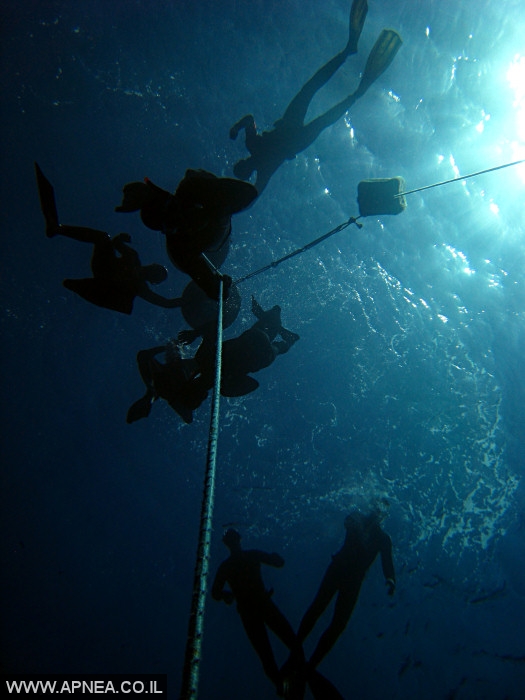    - APNEA -  , , , ,   - 019