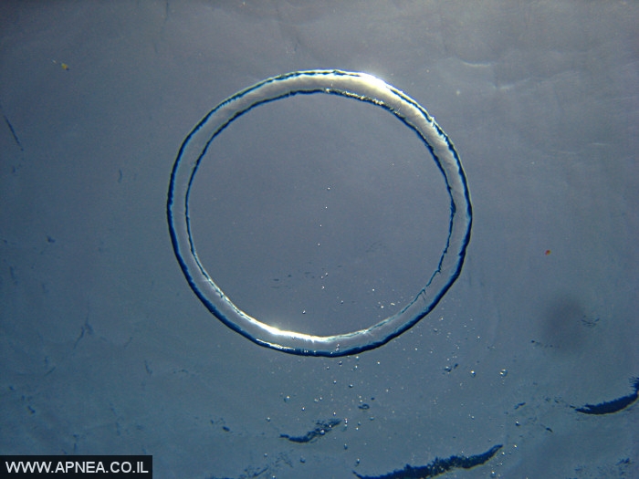    - APNEA -  , , , ,   - 021