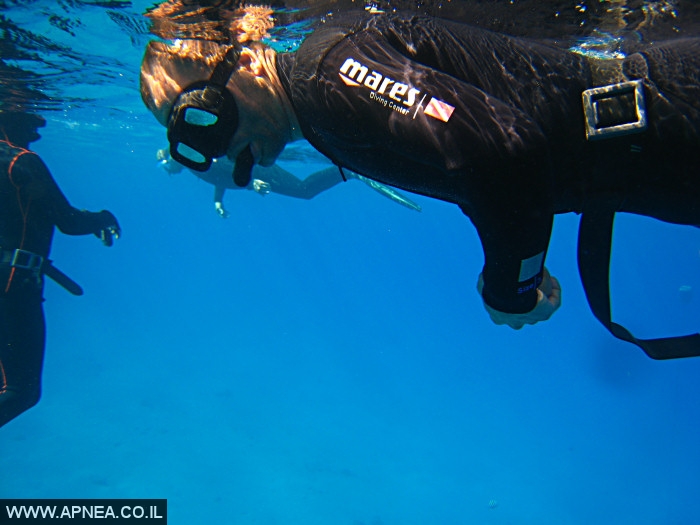    - APNEA -  , , , ,   - 030