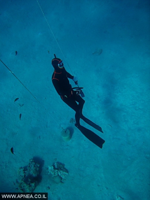    - APNEA -  , , , ,   - 034