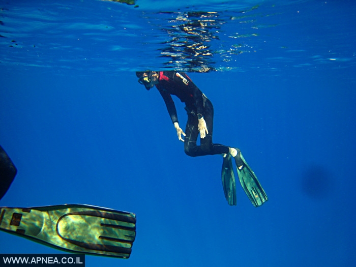    - APNEA -  , , , ,   - 001