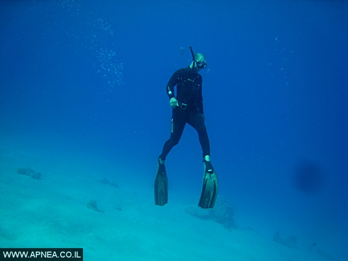    - APNEA -  , , , ,   - 003