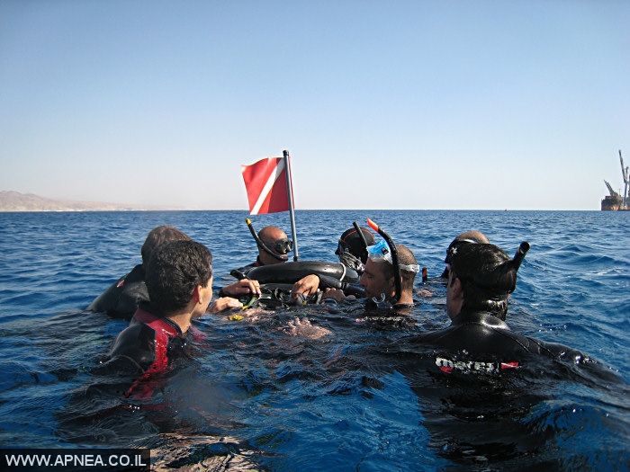    - APNEA -  , , , ,   - 006
