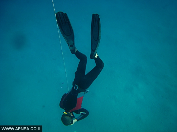    - APNEA -  , , ,  - 005