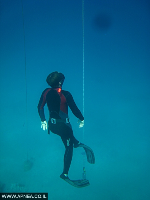    - APNEA -  , , ,  - 006