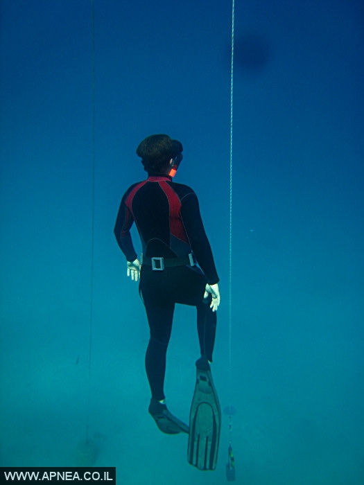    - APNEA -  , , ,  - 007