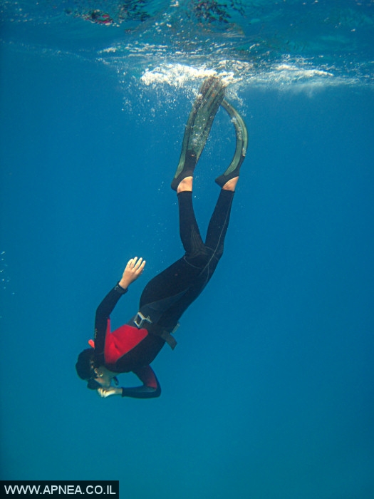    - APNEA -  , , ,  - 011