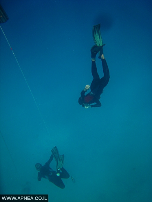    - APNEA -  , , ,  - 012