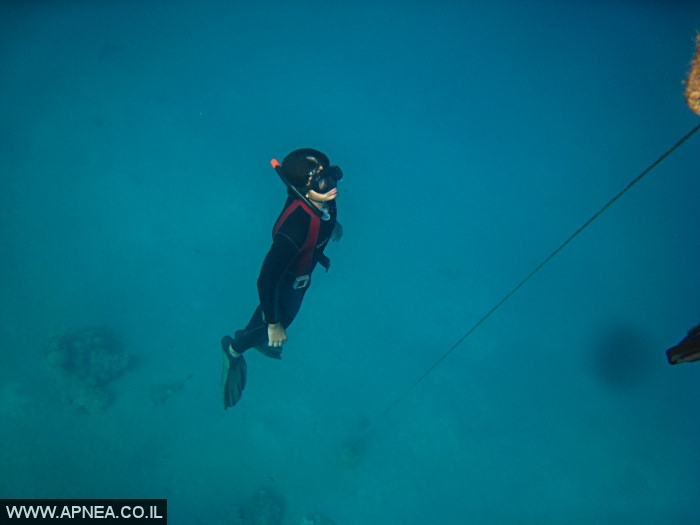    - APNEA -  , , ,  - 014