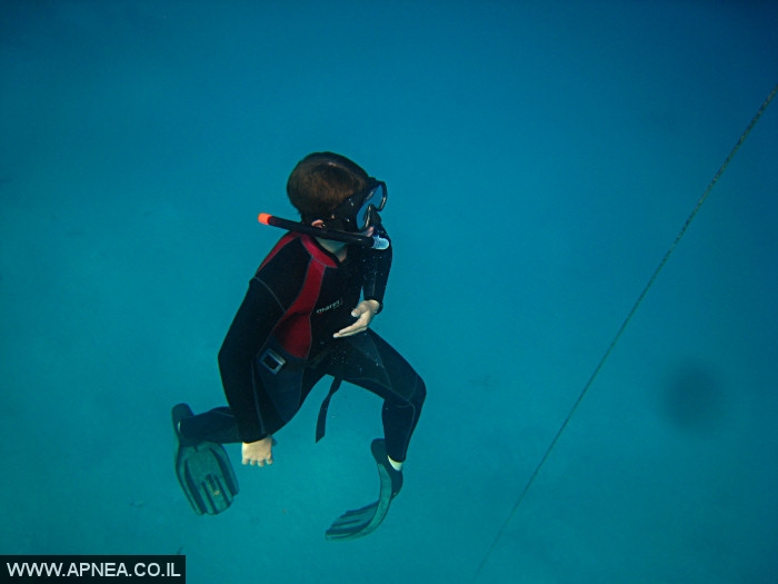    - APNEA -  , , ,  - 023