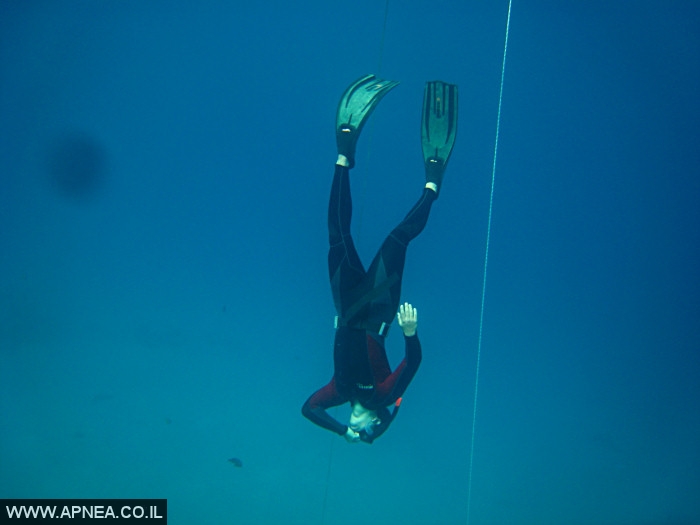    - APNEA -  , , ,  - 024