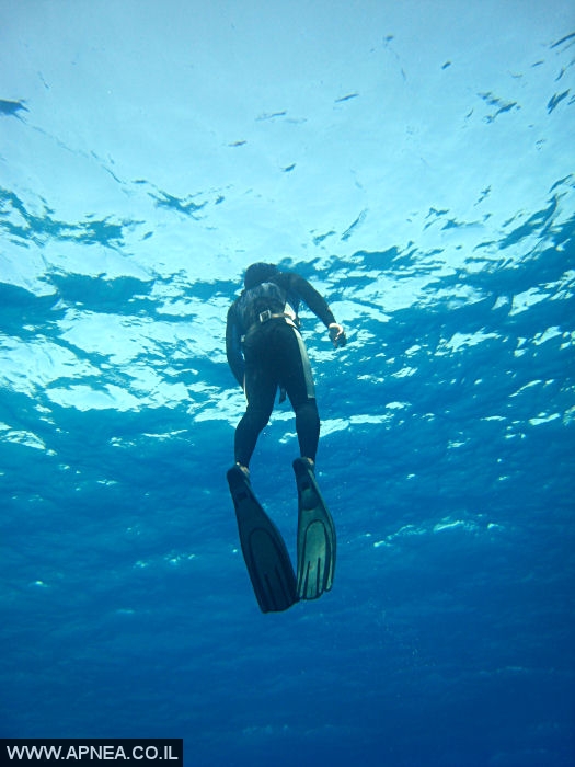    - APNEA -  , ,   - 007