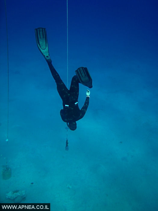    - APNEA -  , ,   - 008