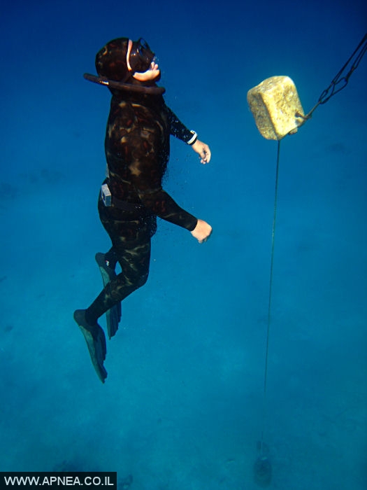    - APNEA -  , ,   - 035