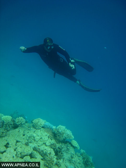    - APNEA -  , ,   - 005