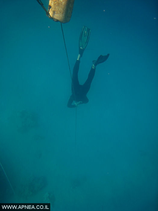    - APNEA -  , ,   - 023