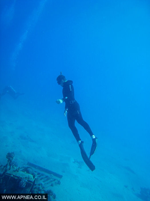    - APNEA -  , , ,  - 006