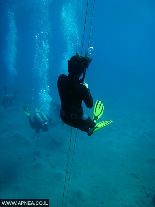    - APNEA -  , , ,  - 008