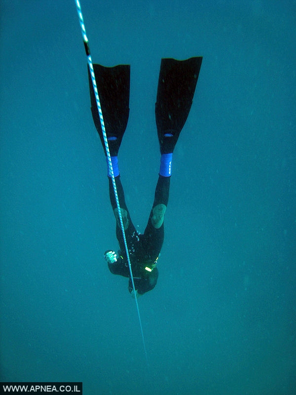 צלילה חופשית במדוזה - ספטמבר 2007 - 5
