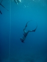    - APNEA -  ,  