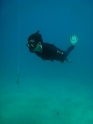    - APNEA -  