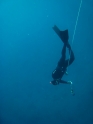 אימון צלילה חופשית - APNEA - עם ניר