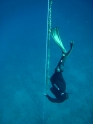 אימון צלילה חופשית - APNEA - עם עוז