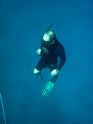 אימון צלילה חופשית - APNEA - עם אייל