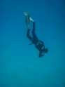    - APNEA -  ,  