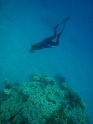    - APNEA -  ,  