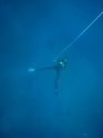 אימון צלילה חופשית - APNEA - עם אור ודוד - 006