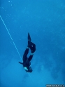 �� �� ��� �����
�����: �� �����