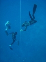 קורס צלילה חופשית 3 כוכבים - APNEA - עם אופיר, יאן, אנדרי ורע