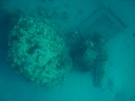    2  - APNEA -  
