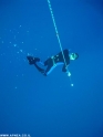 כחול עמוק 2008 - הפנינג צלילה חופשית - ים - 029
