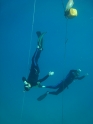    - APNEA  , ,  
