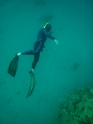    - APNEA  ,  ''